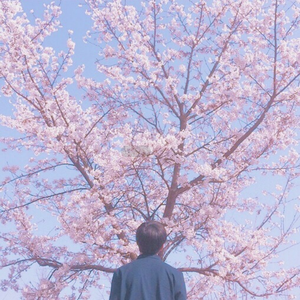 国产美女被❌羞羞网站17c
